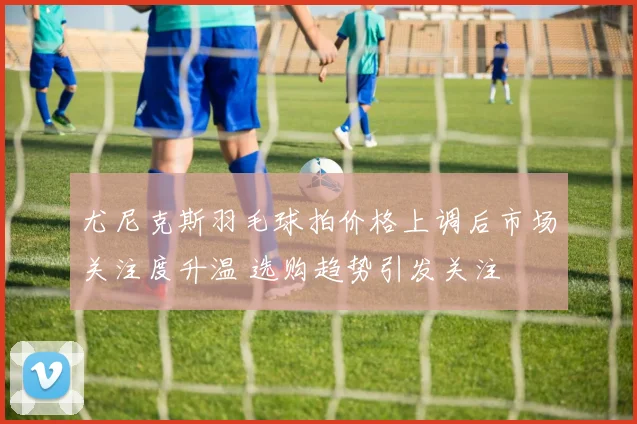 尤尼克斯羽毛球拍价格上调后市场关注度升温 选购趋势引发关注