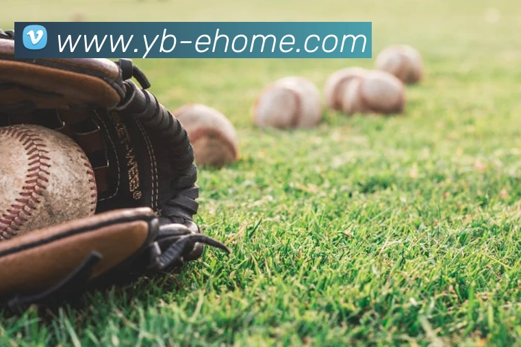 多媒体互动体验