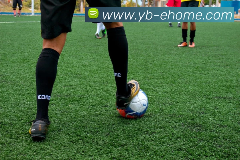 爱游戏ayx官方登录入口APP 高清赛事图